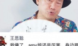 方媛王思聪爆料视频,豪门恩怨背后的真相