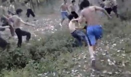 河南网友爆料视频大全,真实记录生活百态