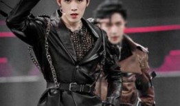 任豪爆料大全视频,揭秘娱乐圈幕后真相