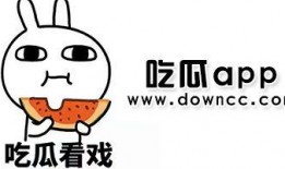 看网红吃瓜软件下载,揭秘娱乐圈幕后故事