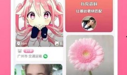 青秋最新爆料录音下载,最新爆料背后的真相与内幕