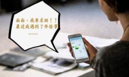 今日深圳市民爆料,最新爆料揭示城市生活新动态