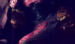 疯狂天后在线观看20,20分钟速览，揭秘巨星背后的疯狂人生