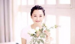 娱乐圈吃瓜许晴是谁啊小说,许晴的瓜田秘事