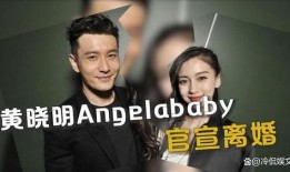 刘大锤最新爆料王传君,神秘事件引热议