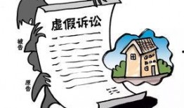 二八案虚假诉讼最新爆料