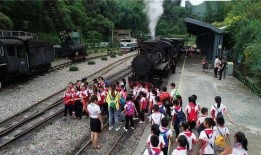 千禧日料爆料视频大全集,视频大全集深度解析