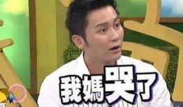 李晨母亲爆料视频播放,揭秘明星家庭背后的故事