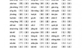 语文数学书最新爆料篇,深度解析教材爆料篇