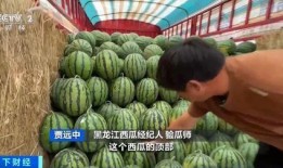 全网免费吃瓜 缅北,揭秘缅北风云录