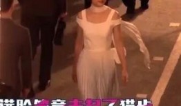 孙俪今日爆料视频在线观看,揭秘幕后的真实故事