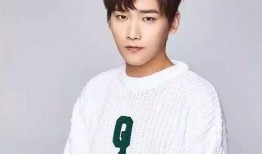 八卦圈爆料邢昭林视频播放,揭秘幕后真相