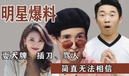 最新瓜爆料明星,最新明星爆料，娱乐圈风云再起！