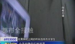 旅店老板爆料视频大全,视频大全背后的惊人真相