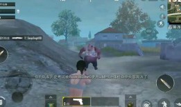 吃鸡外服爆料视频大全,揭秘游戏幕后精彩瞬间