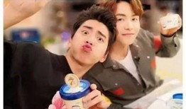 王大陆爆料完整视频,完整视频背后的惊人真相