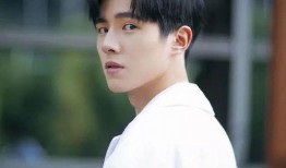 辉叔爆料刘昊然视频播放,刘昊然视频幕后真相，播放量背后的秘密大公开！