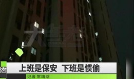 郑州爆料最新事件,揭秘XX真相，引发社会关注