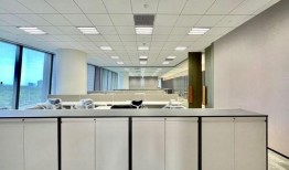 橙子爆料白鹿视频大全集,白鹿视频大全集，精彩瞬间一网打尽