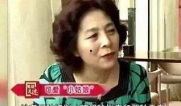 李晨母亲爆料视频播放,揭秘明星家庭背后的故事