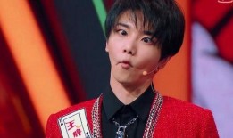 王俊凯华晨宇最新爆料,揭秘娱乐圈幕后故事