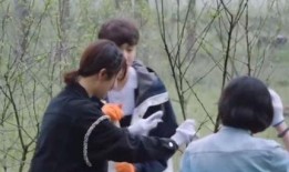 圈内爆料张艺兴和杨紫,幕后故事曝光引热议