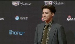 李易峰的私事爆料视频,揭秘明星背后的真实生活