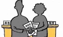 二八案虚假诉讼最新爆料