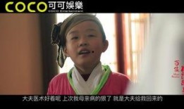 堂口故事在线观看,揭秘神秘堂口，在线观看探秘传奇人生