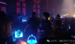 酒吧真实现场视频爆料,真实一幕直击夜生活现场