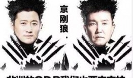 吴刚爆料豆汁视频大全,揭秘传统美食魅力