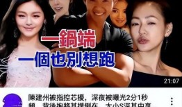 台媒爆料大s视频全集,惊人真相曝光