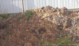 千禧日料爆料视频大全集,视频大全集深度解析