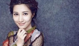 张静爆料任家忠视频播放,真相与争议