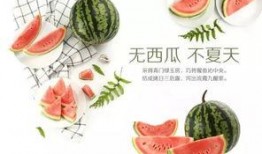 潍坊吃瓜网红有哪些公司,潍坊吃瓜网红背后的公司概览