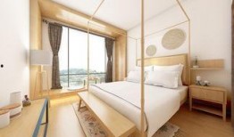 重庆民宿爆料视频最新,揭秘隐藏在城市角落的隐秘居所