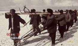 青藏电影在线观看,穿越高原的视觉盛宴