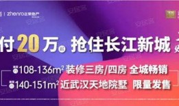 武汉热点爆料事件最新,揭秘XX事件背后的真相与影响