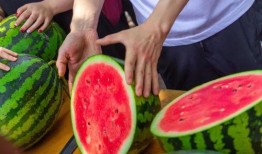 全网免费吃瓜 缅北,揭秘缅北风云录