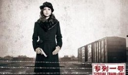 专列一号在线观看,揭秘神秘列车背后的惊险故事