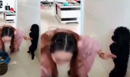 佛妹被爆料视频在线观看,真相与争议背后的网络风暴