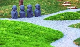 草国须弥爆料解析最新,探寻新版本神秘势力崛起之谜