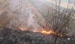 狮子山爆料视频大全最新,揭秘热点事件背后的真相