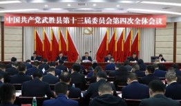 武胜天下新闻爆料中心,揭秘热点事件背后的真相