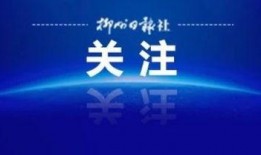 dv现场新闻爆料电话,揭秘事件背后真相