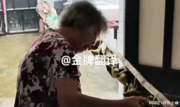 山西老太太爆料视频大全