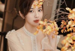 胡歌王晓晨爆料了吗视频,揭秘娱乐圈背后的故事