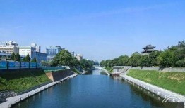 爆料阳湖二院事件视频