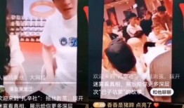 辛巴爆料董宇辉视频下载,揭秘直播带货幕后真相