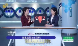 天津电台爆料新闻视频大全,新闻视频大全精彩回顾